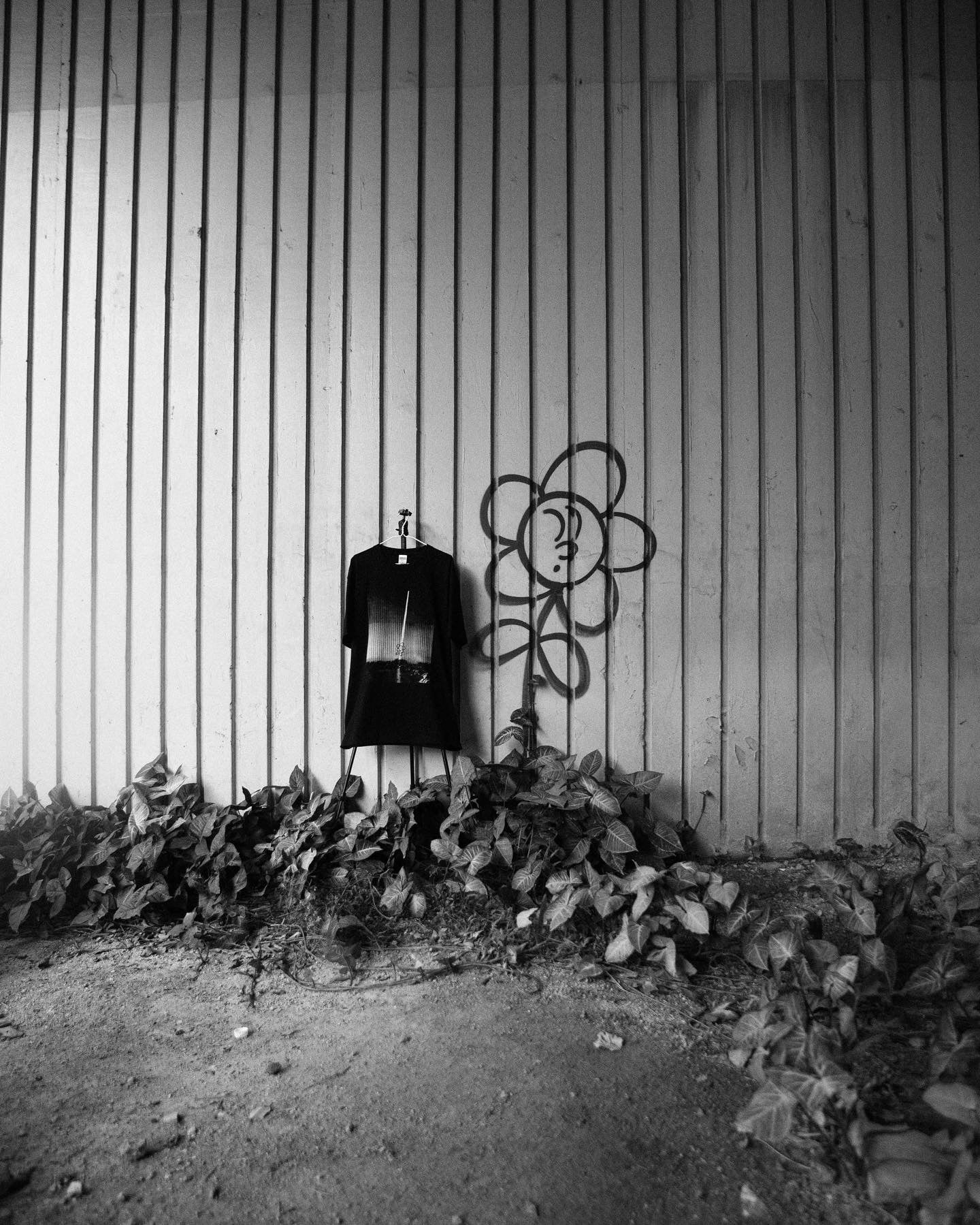 35mm BnW Film 轉化