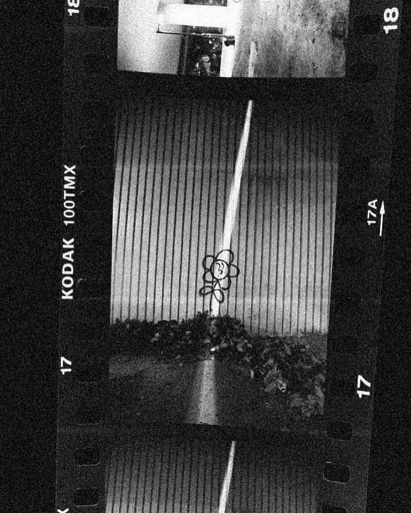 35mm BnW Film 轉化