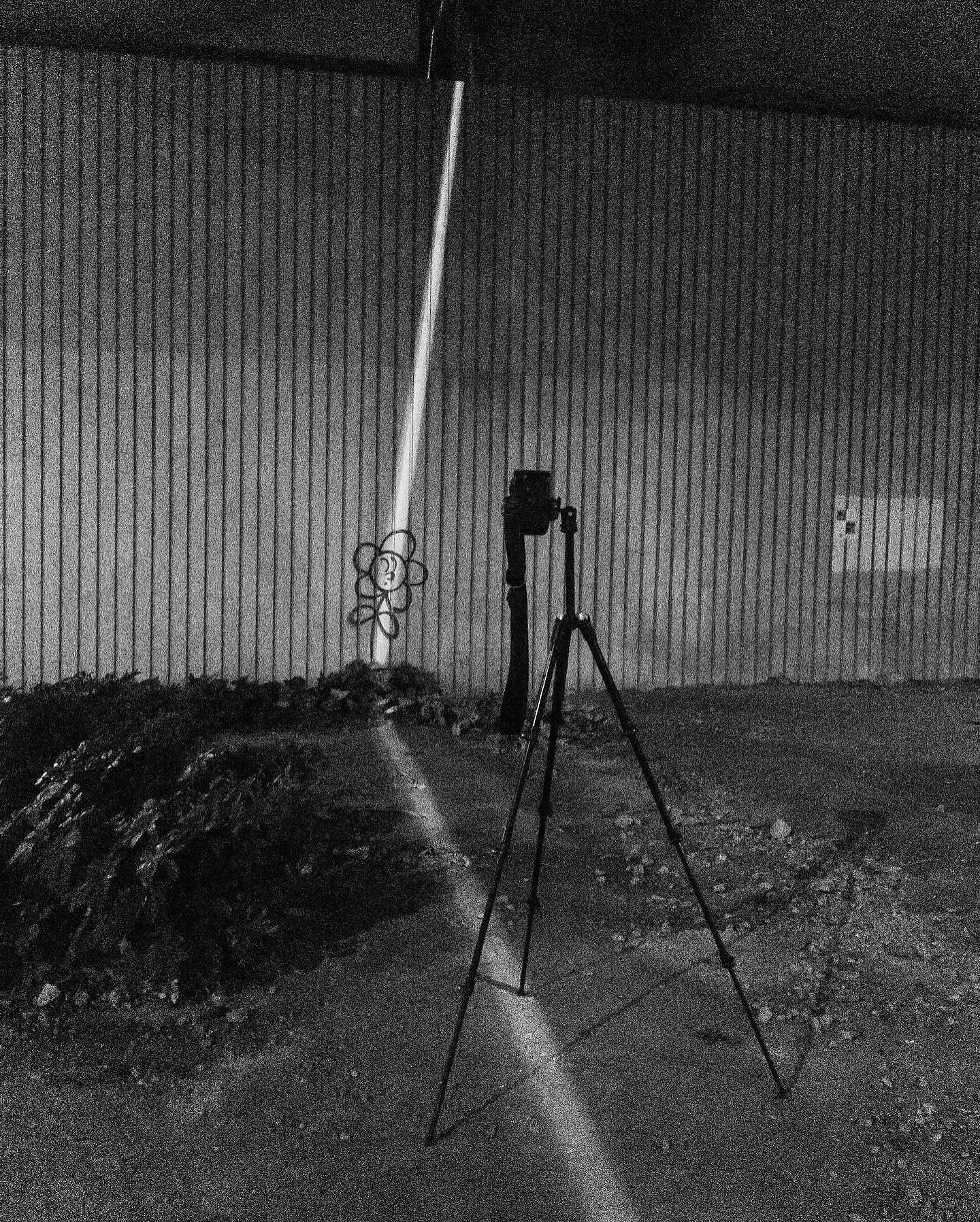 35mm BnW Film 轉化
